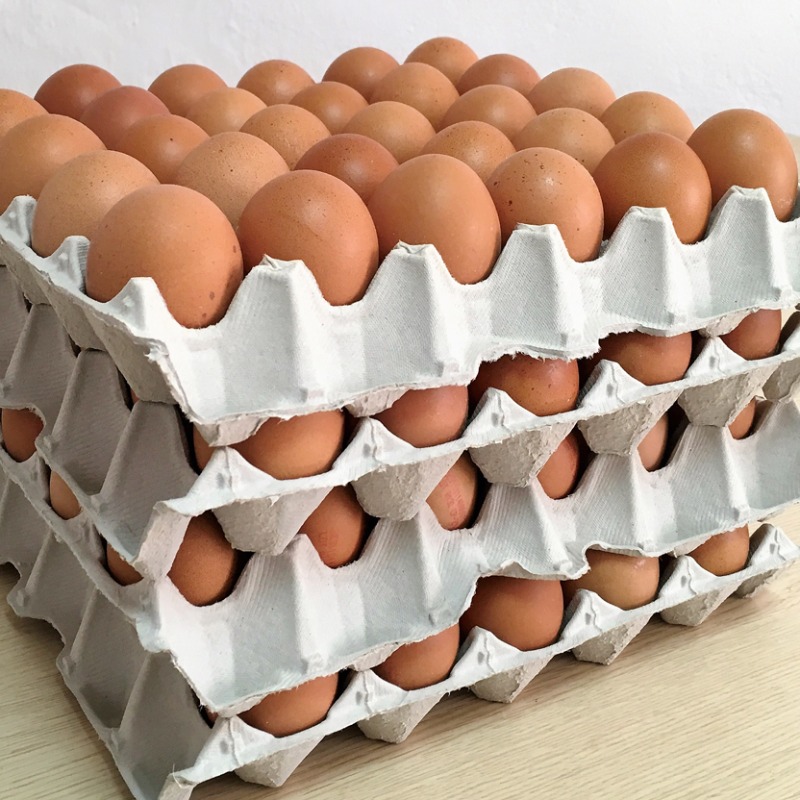 Huevos Blancos/colorados/de Campo X Docena