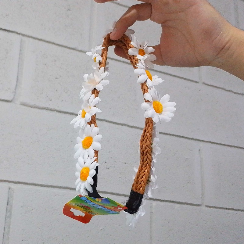 Vincha Flor Margaritas Blancas Con Cordon