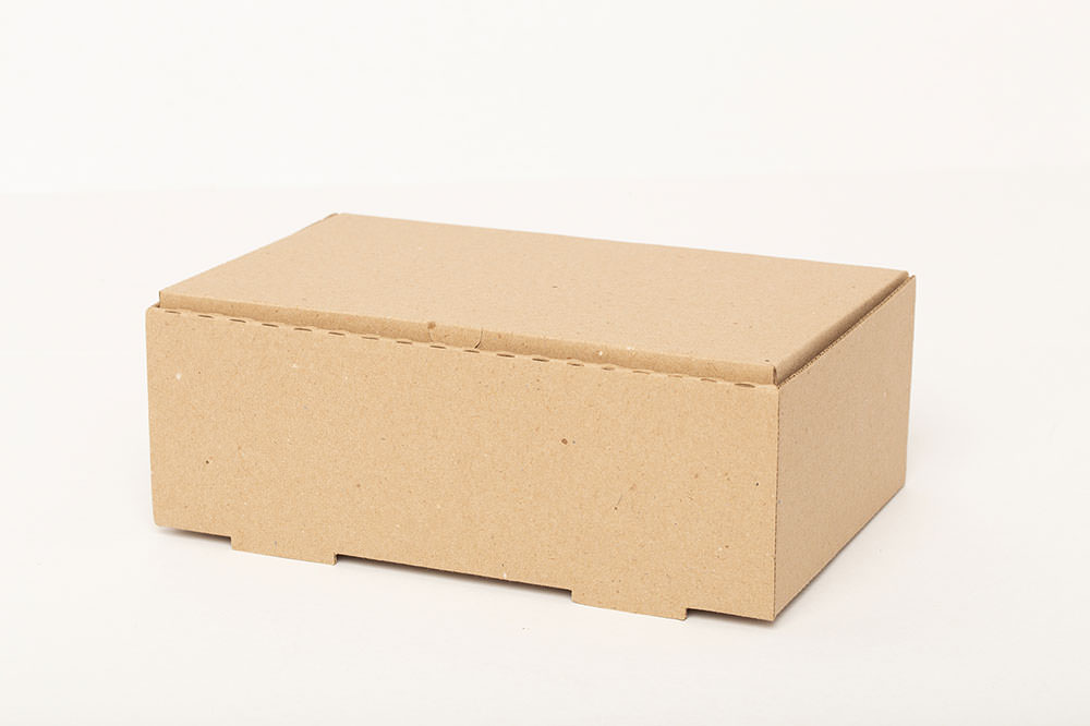 Caja Burger/hamburguesa  + Papas X100 Unidades 